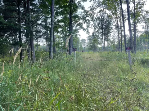 Co Rd 356, Stephenson, MI 49887 photo 6