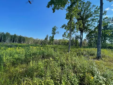 Co Rd 356, Stephenson, MI 49887 photo 34