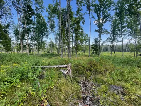 Co Rd 356, Stephenson, MI 49887 photo 8