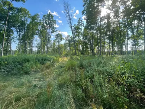 Co Rd 356, Stephenson, MI 49887 photo 22