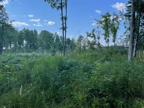 Co Rd 356, Stephenson, MI 49887 photo 38