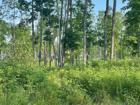 Co Rd 356, Stephenson, MI 49887 photo 2