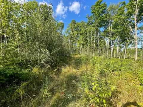 Co Rd 356, Stephenson, MI 49887 photo 35