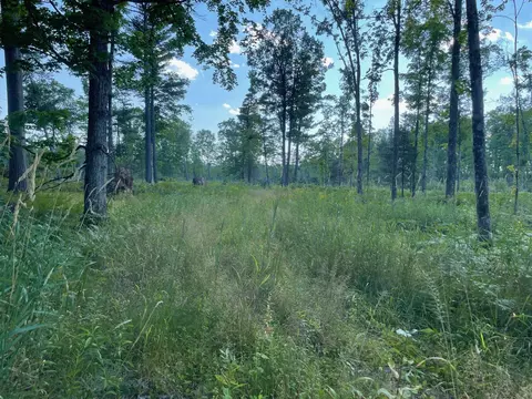 Co Rd 356, Stephenson, MI 49887 photo 26