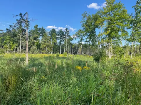 Co Rd 356, Stephenson, MI 49887 photo 36