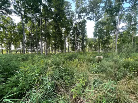 Co Rd 356, Stephenson, MI 49887 photo 23