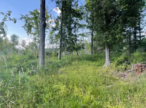 Co Rd 356, Stephenson, MI 49887 photo 24