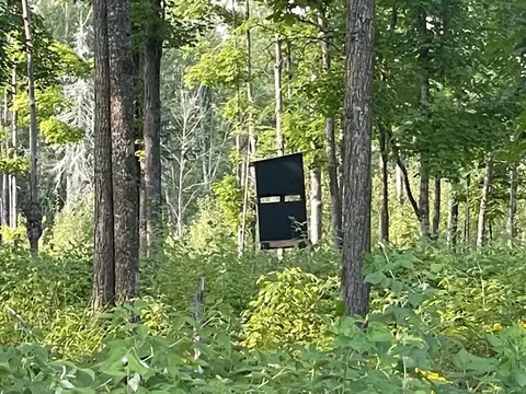 Co Rd 356, Stephenson, MI 49887 photo 18