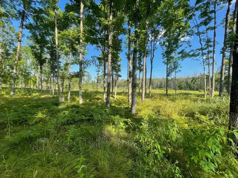 Co Rd 356, Stephenson, MI 49887 photo 3