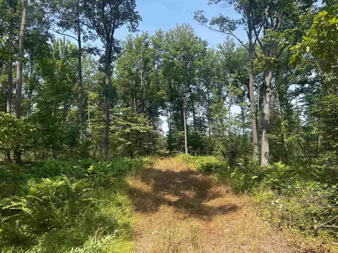 Dexter Wood Road, Pittsville, WI 54466
