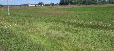 Shawano Street, New London, WI 54961
