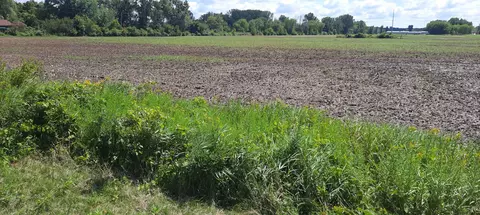 Spurr Road, New London, WI 54961