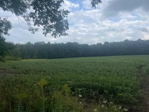 Mill Lane, Shawano, WI 54166