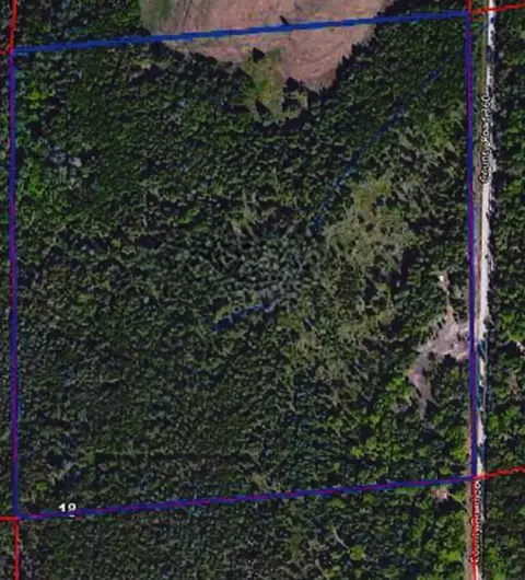 County 360 Road, Cedar River, MI 49887