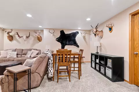 w5387 Linden Hill Drive, Appleton, WI 54915 photo 27