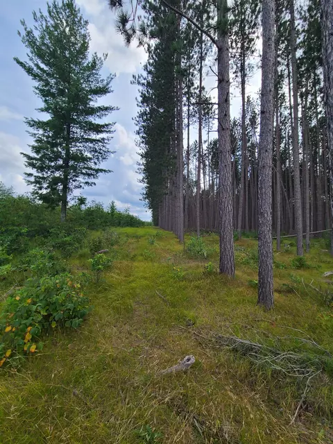 Grouse Lane, Crivitz, WI 54114