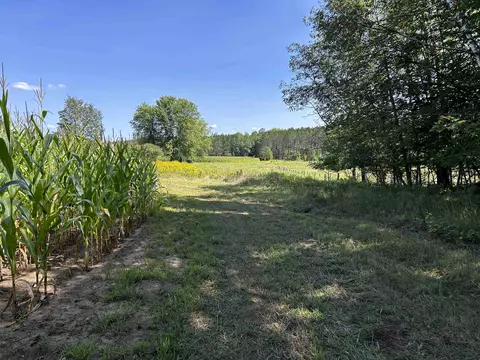 n7909 Beilke Road, Gresham, WI 54128 photo 38