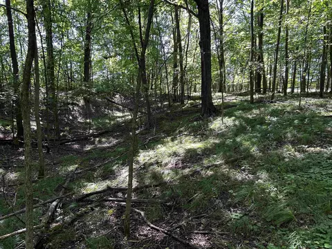 n7909 Beilke Road, Gresham, WI 54128 photo 16