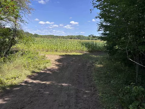 n7909 Beilke Road, Gresham, WI 54128 photo 19