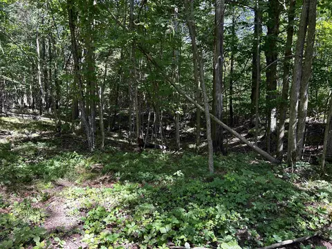 n7909 Beilke Road, Gresham, WI 54128 photo 18