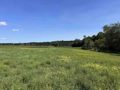 n7909 Beilke Road, Gresham, WI 54128 photo 33