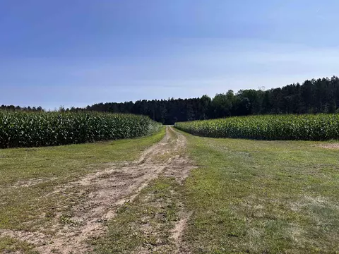 n7909 Beilke Road, Gresham, WI 54128 photo 14