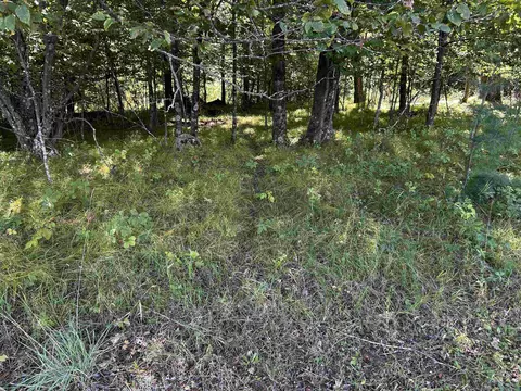 n7909 Beilke Road, Gresham, WI 54128 photo 39