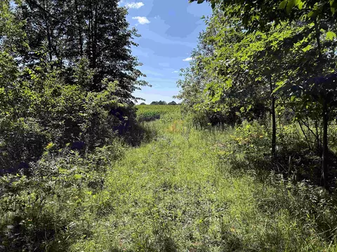 n7909 Beilke Road, Gresham, WI 54128 photo 25