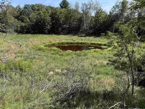 n7909 Beilke Road, Gresham, WI 54128 photo 32