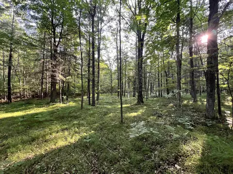 Cemetery Road, Pembine, WI 54156