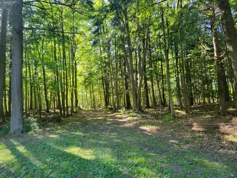 n3276 South Broadway Road, Bonduel, WI 54107