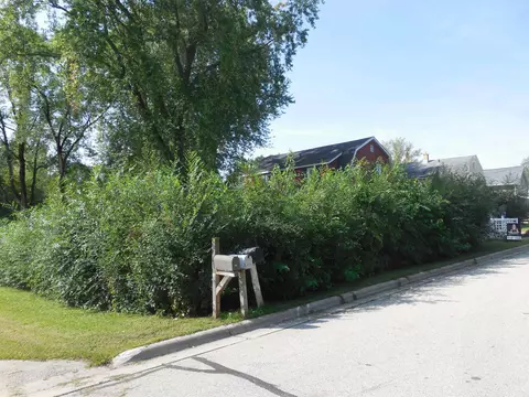 412 Meyer St, Pound, WI 54161 photo 73