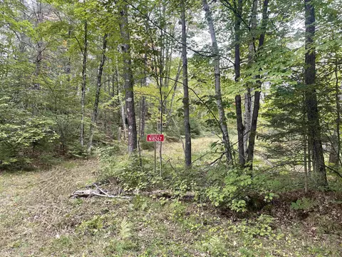 n18267 Woodland Lane, Dunbar, WI 54119