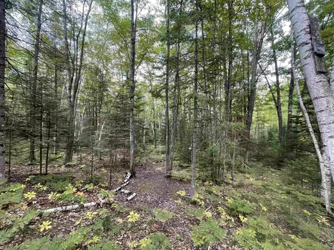 Woodland Lane, Dunbar, WI 54119