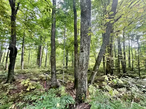 N13026 Limberg Lane #5, Silver Cliff, WI 54104