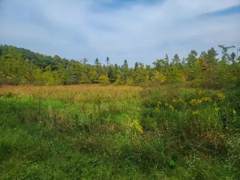 White Clover Road, Manawa, WI 54949