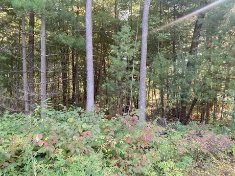 Springbrook Road, Cecil, WI 54111
