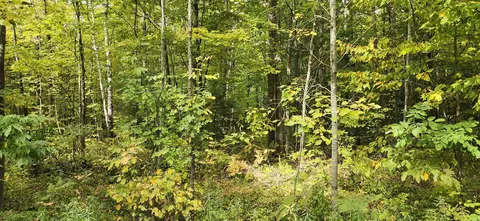 hy line trail, Sturgeon Bay, WI 54235