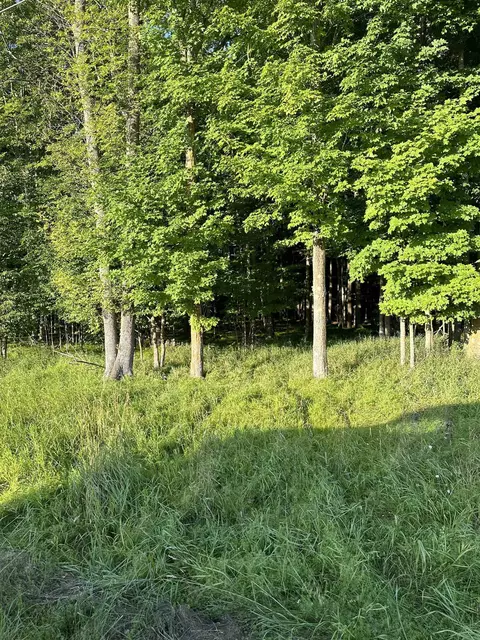 Condroski Road, Florence, WI 54121