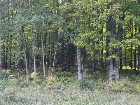 Maple Lane, Bowler, WI 54416