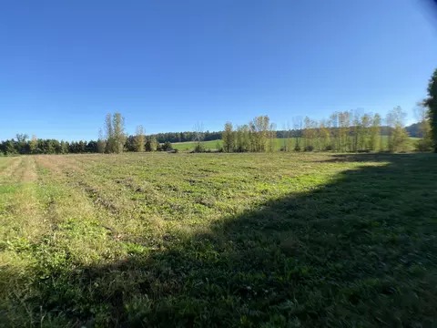 river pine drive, Shawano, WI 54166 photo 19