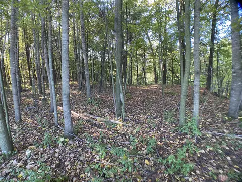 river pine drive, Shawano, WI 54166 photo 6