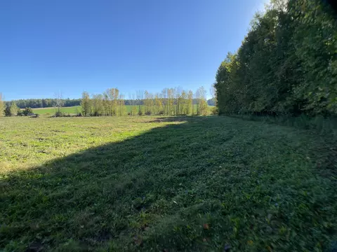 river pine drive, Shawano, WI 54166 photo 18