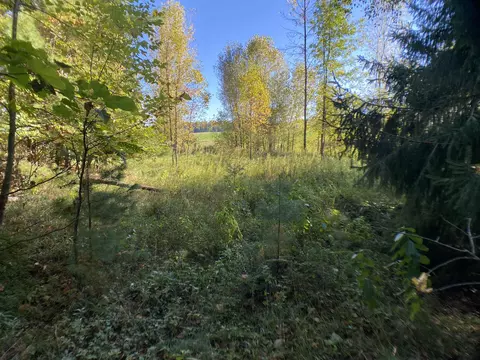 river pine drive, Shawano, WI 54166 photo 16