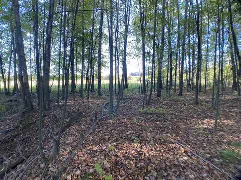 river pine drive, Shawano, WI 54166 photo 14