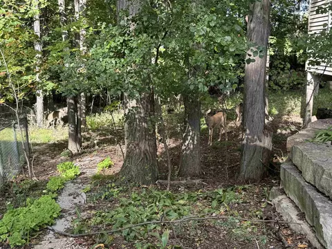 3626 E Lexington Dr, Appleton, WI 54915 photo 37