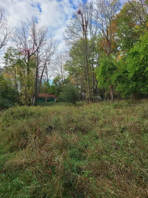 Perch Lake Road, Wausaukee, WI 54177