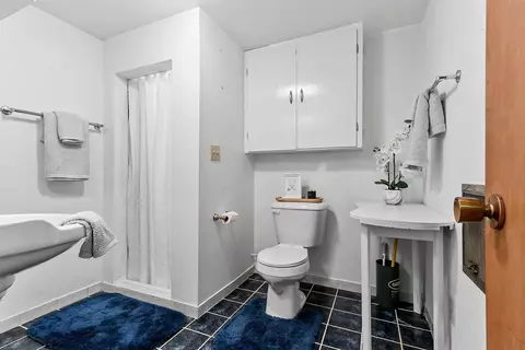 1115 W Franklin St, Appleton, WI 54914 photo 31