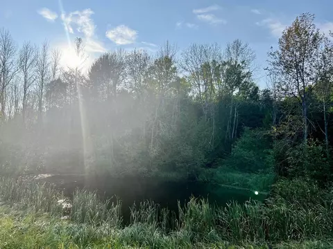 State Hwy 180, Porterfield, WI 54159