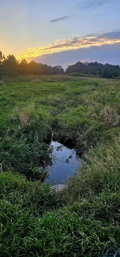 29 Th Dr, Pine River, WI 54965 photo 3